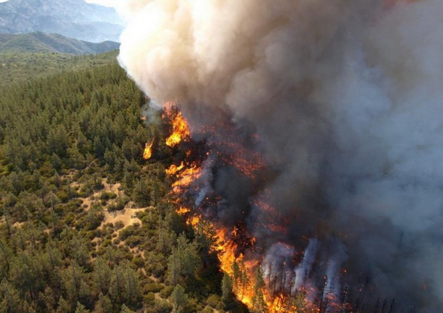 Aerial view of wildfire